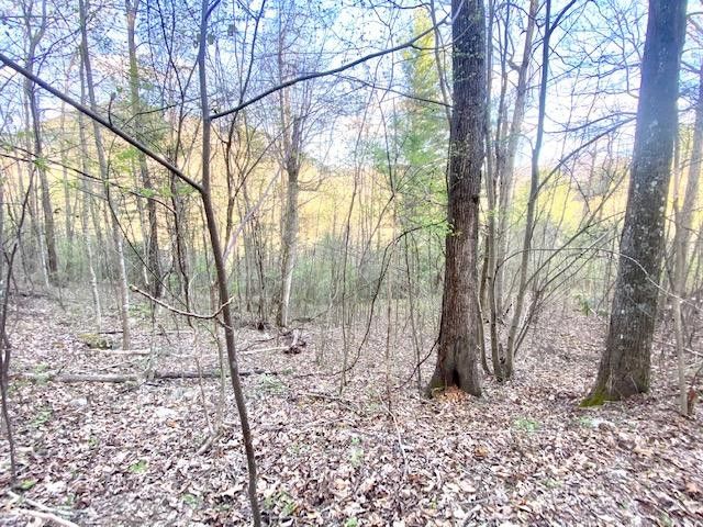 Photo #18: 146 Browns Branch Road