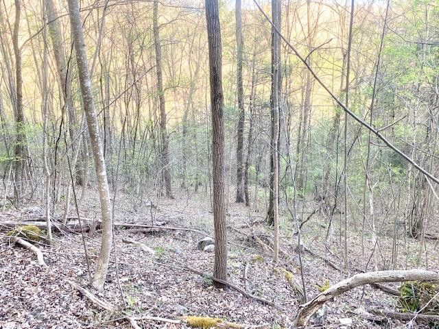 Photo #19: 146 Browns Branch Road