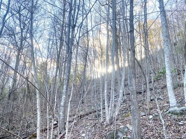 Photo #27: 146 Browns Branch Road