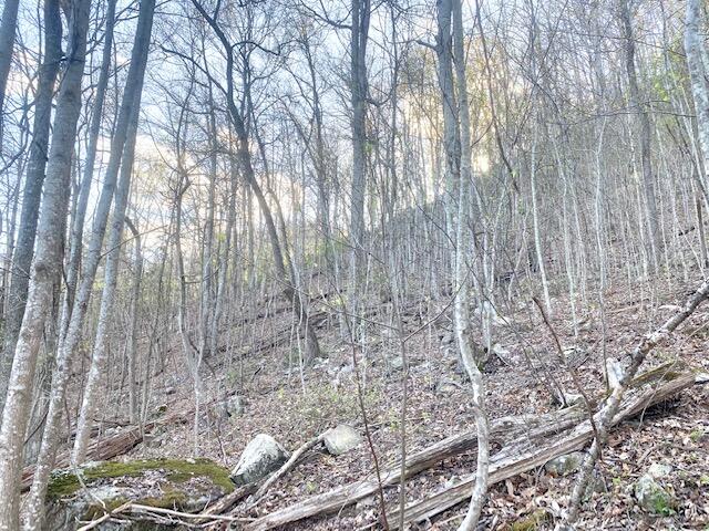 Photo #28: 146 Browns Branch Road