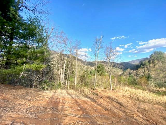 Photo #11: 146 Browns Branch Road