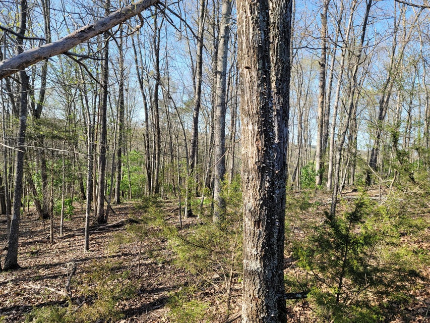 Photo #23: 395 Bible Road