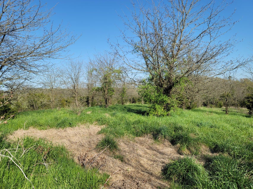 Photo #26: 395 Bible Road