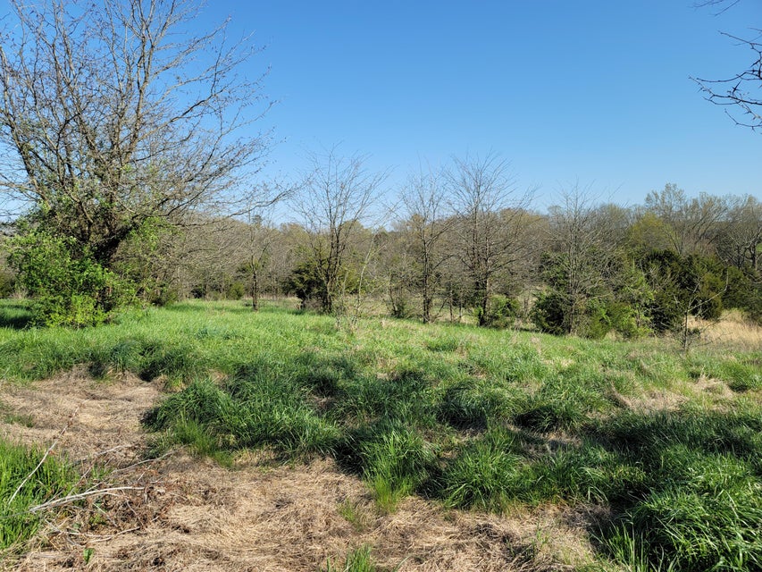 Photo #28: 395 Bible Road