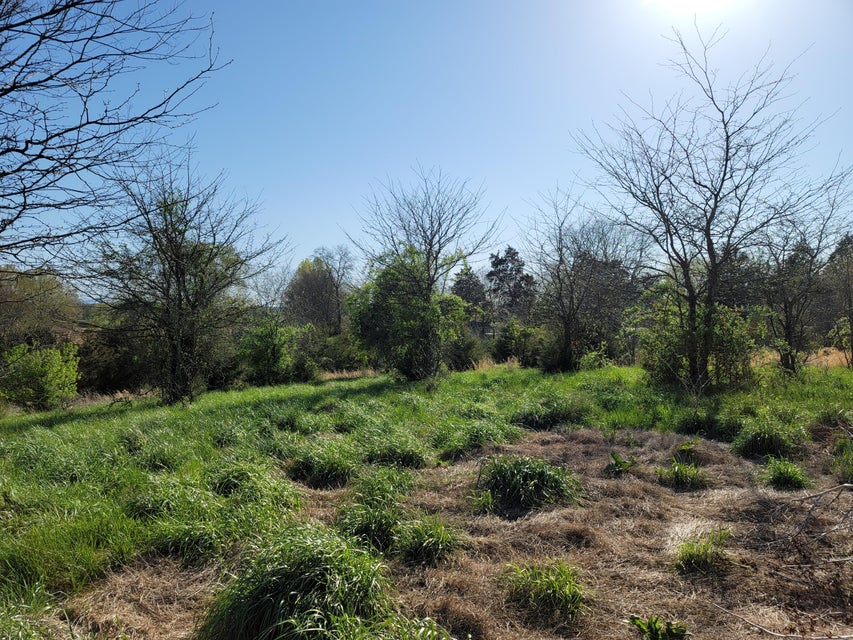 Photo #29: 395 Bible Road