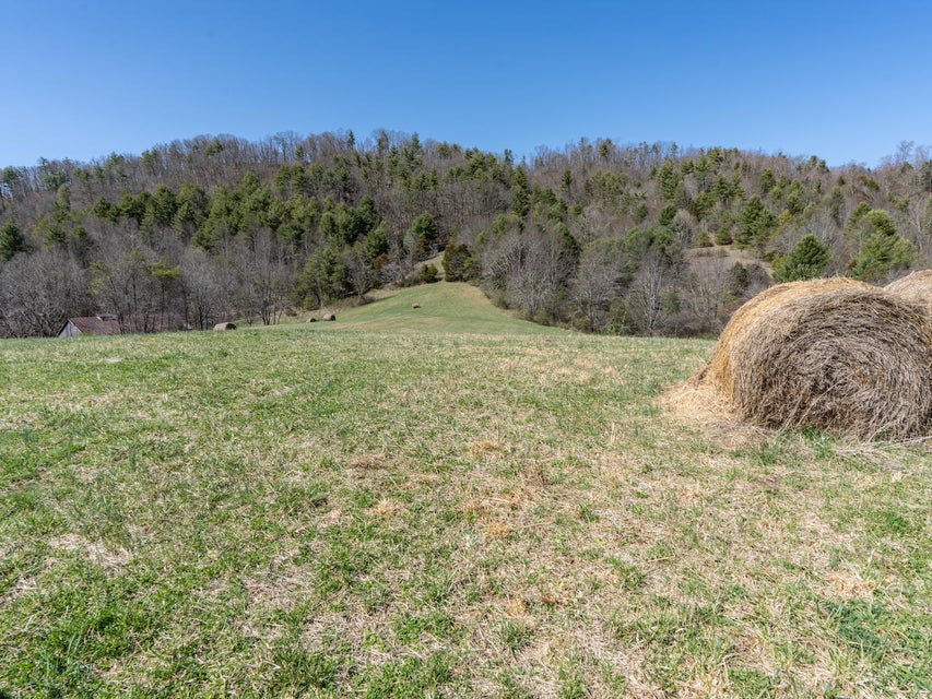 Photo #3: 0 Sugar Grove Road