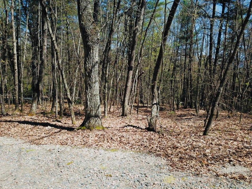 Photo #7: 36 Bear Ridge Drive