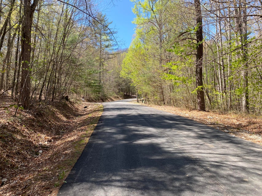 Photo #11: 36 Bear Ridge Drive