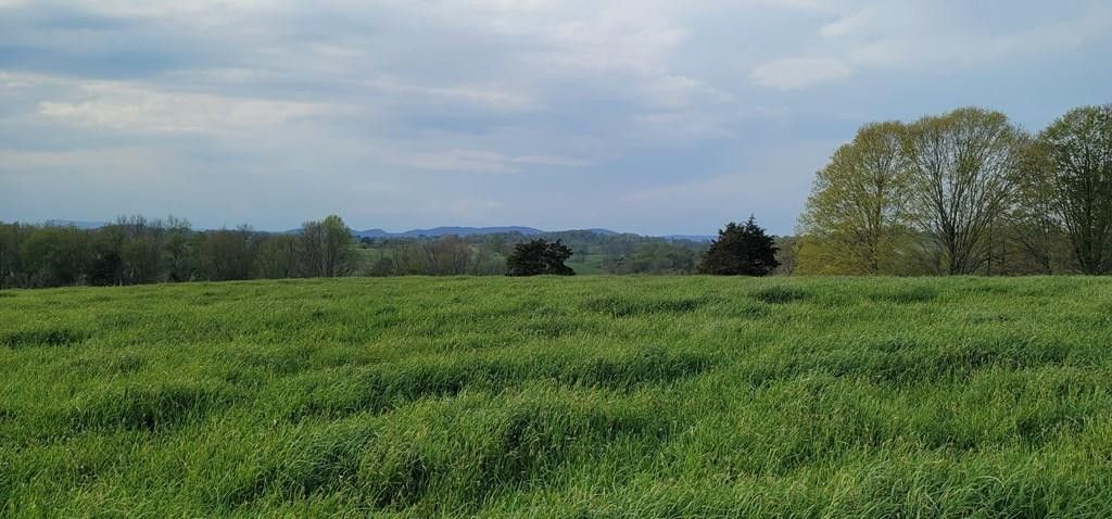 Photo #4: Tbd Red Stone Road