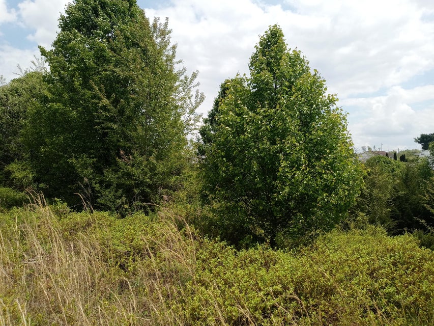 Photo #2: 2765 Old Stagecoach Road