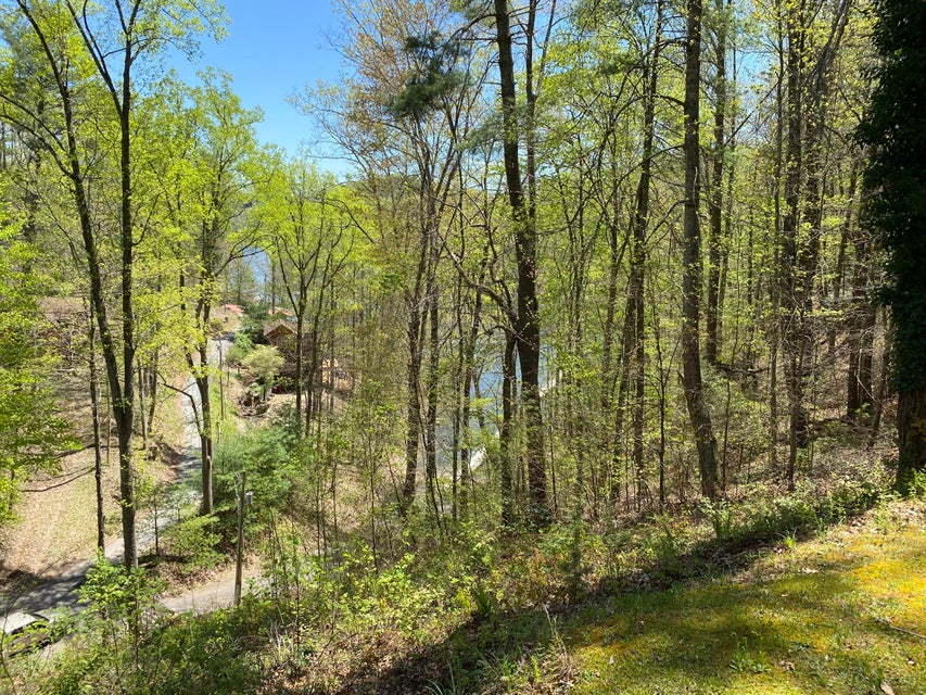 Photo #18: Lot 3 Coves Edge Dr Drive