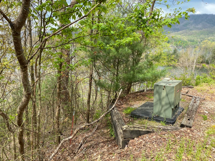 Photo #19: Lot 3 Coves Edge Dr Drive