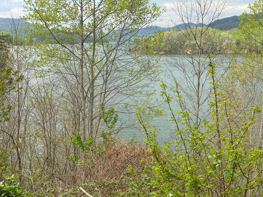 Photo #23: Lot 3 Coves Edge Dr Drive