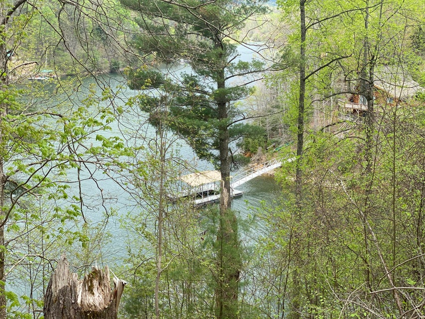 Photo #25: Lot 3 Coves Edge Dr Drive