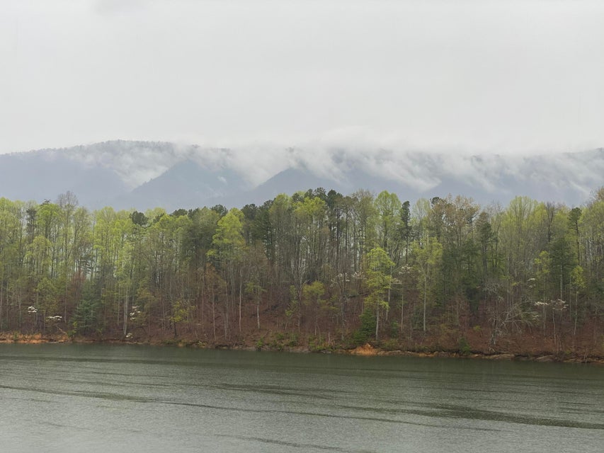 Photo #36: Lot 3 Coves Edge Dr Drive