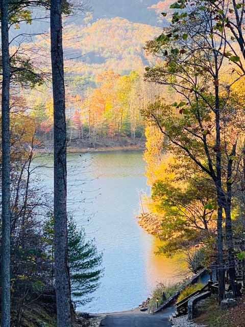 Photo #42: Lot 3 Coves Edge Dr Drive
