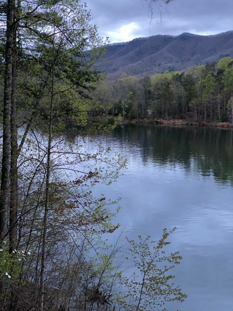 Photo #29: Lot 3 Coves Edge Dr Drive