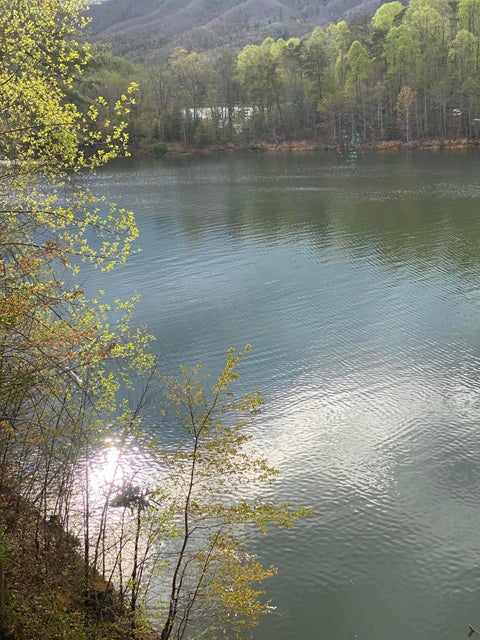 Photo #31: Lot 3 Coves Edge Dr Drive