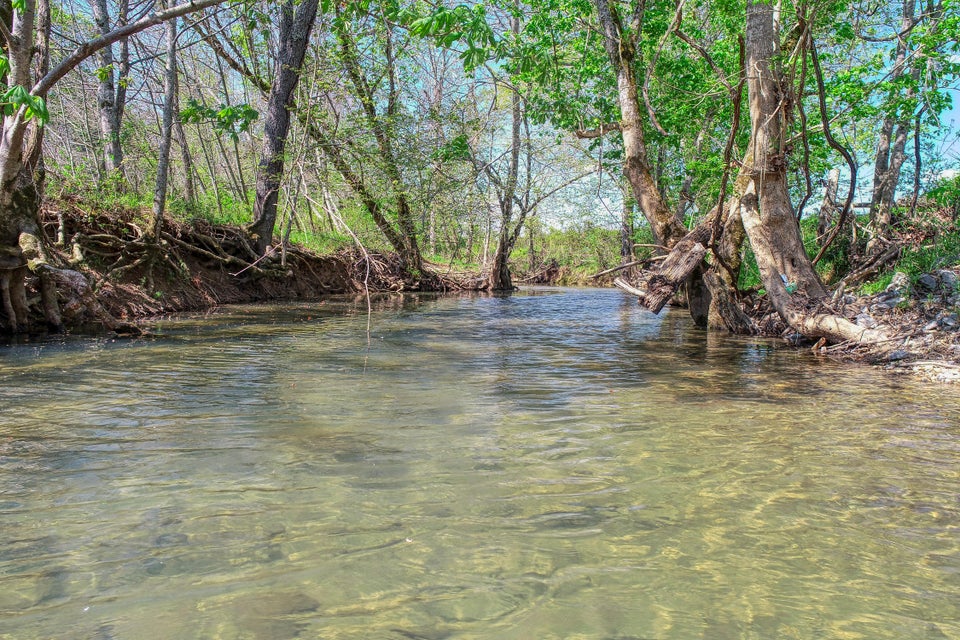 Photo #2: Tbd Old Mill Road