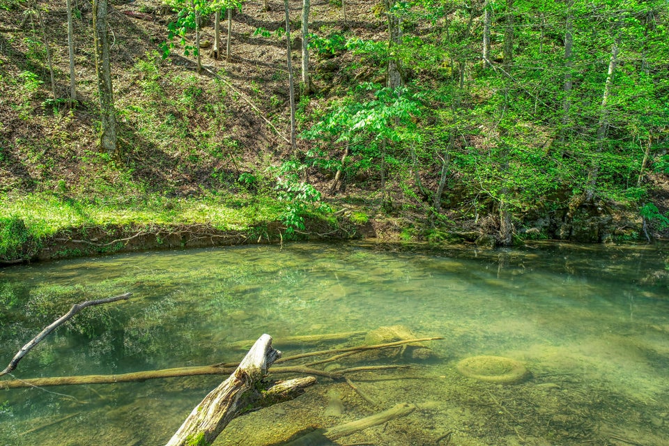 Photo #21: Tbd Old Mill Road