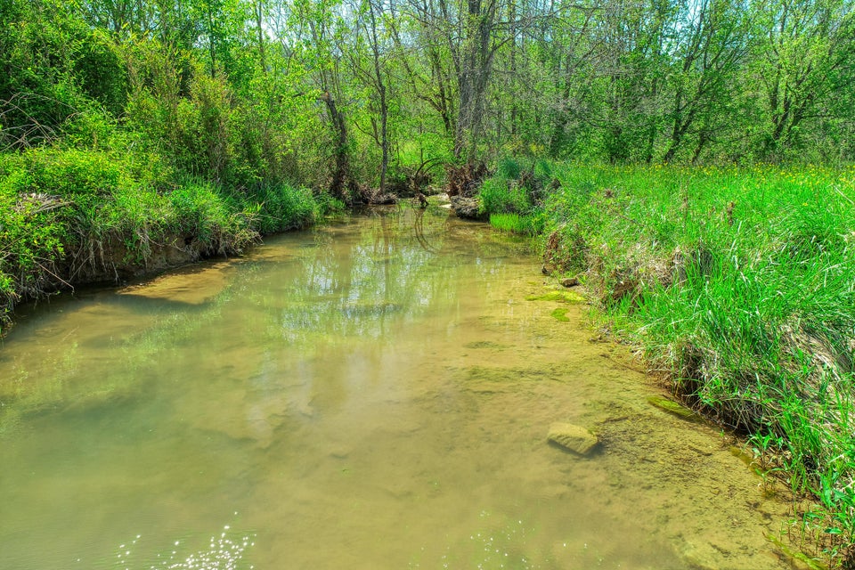 Photo #4: Tbd Old Mill Road