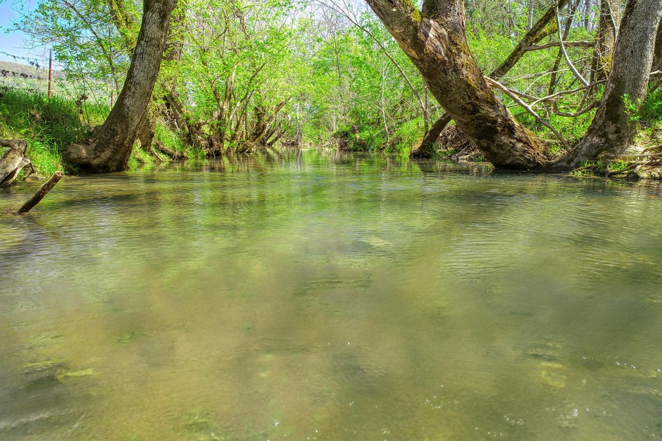 Photo #3: Tbd Old Mill Road