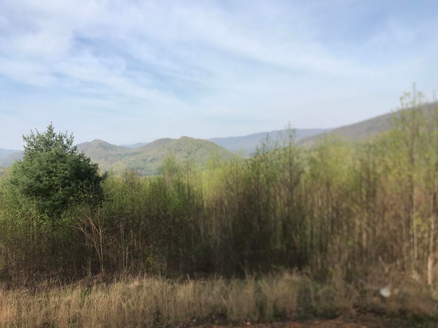 Photo #4: 00 Of Roan Creek Road