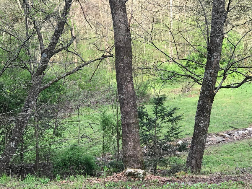 Photo #8: 00 Of Roan Creek Road