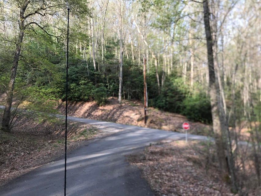 Photo #12: 00 Of Roan Creek Road