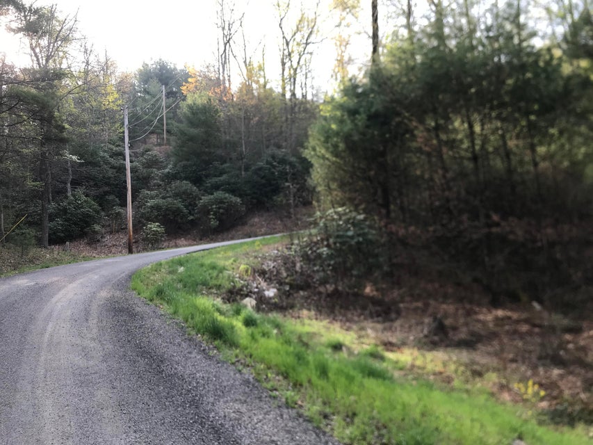 Photo #13: 00 Of Roan Creek Road