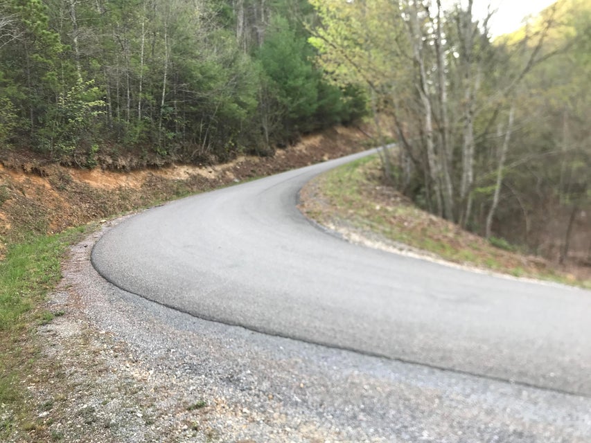 Photo #15: 00 Of Roan Creek Road
