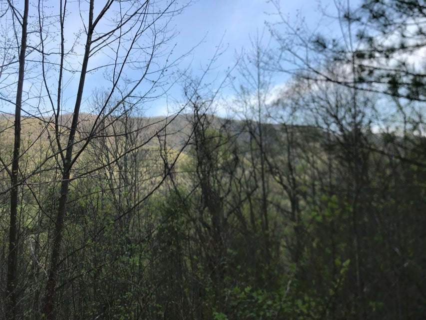 Photo #17: 00 Of Roan Creek Road