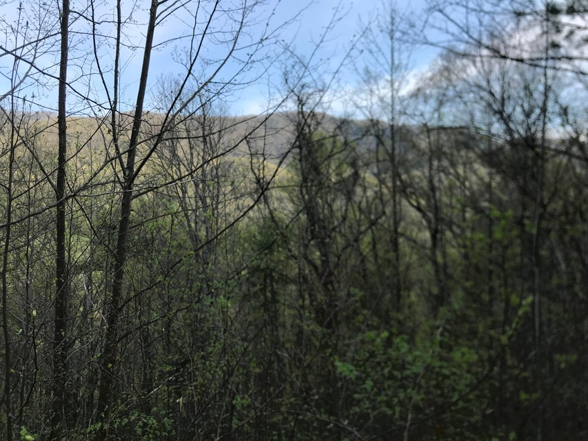 Photo #18: 00 Of Roan Creek Road