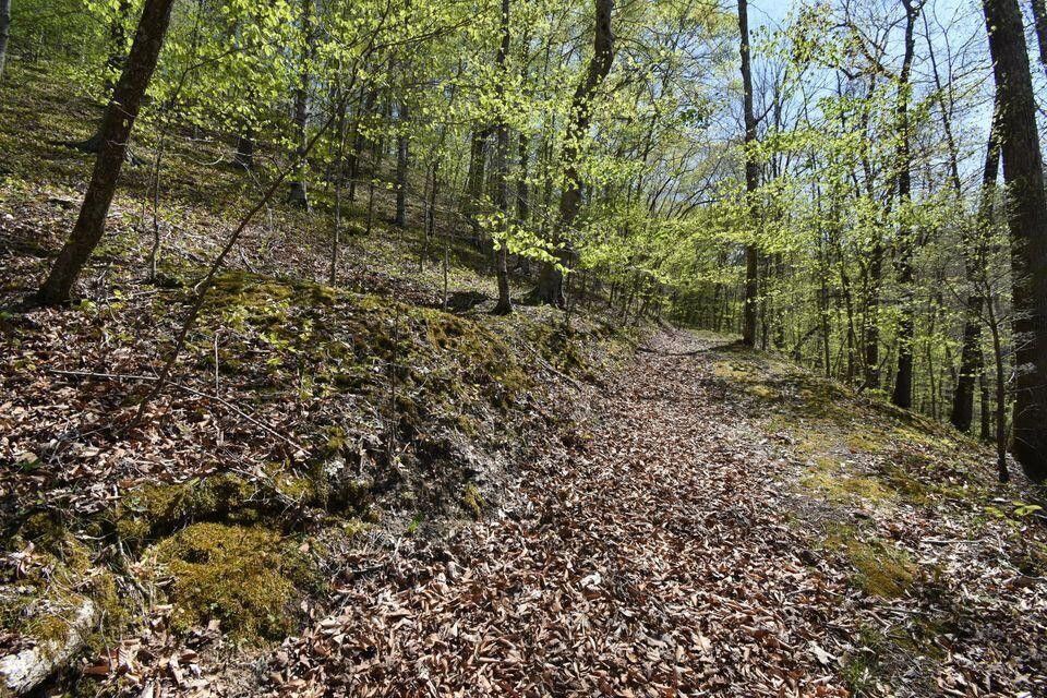 Photo #28: 111 Back Valley Road