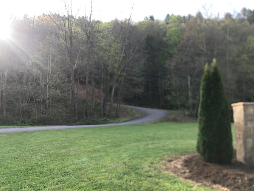 Photo #5: 00 Of Roan Creek Road