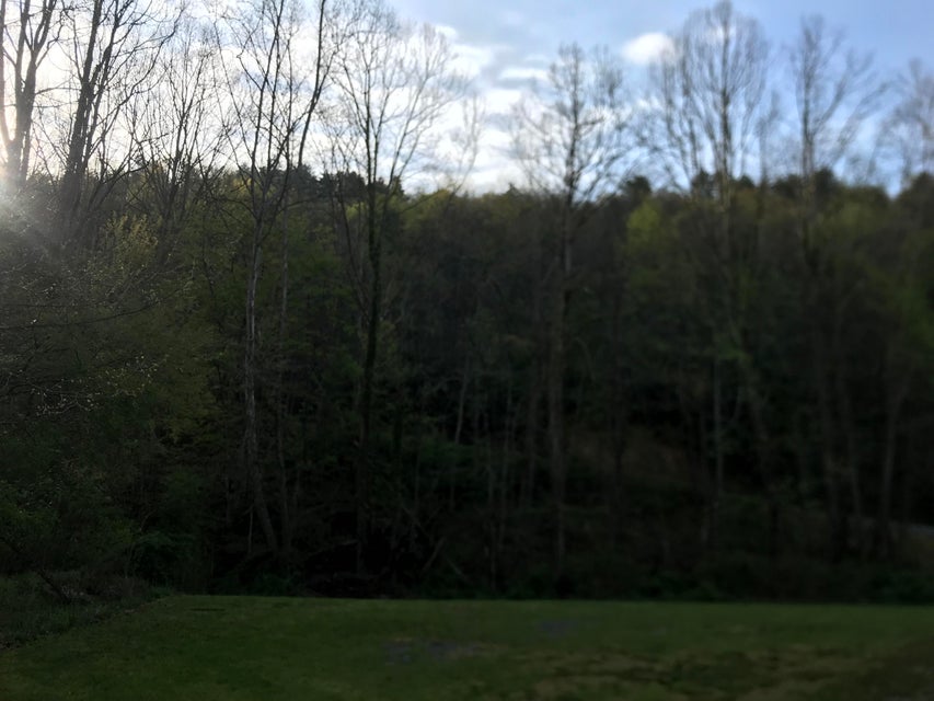 Photo #6: 00 Of Roan Creek Road