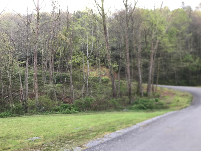 Photo #7: 00 Of Roan Creek Road