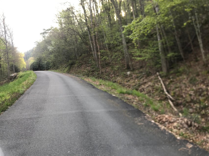 Photo #8: 00 Of Roan Creek Road
