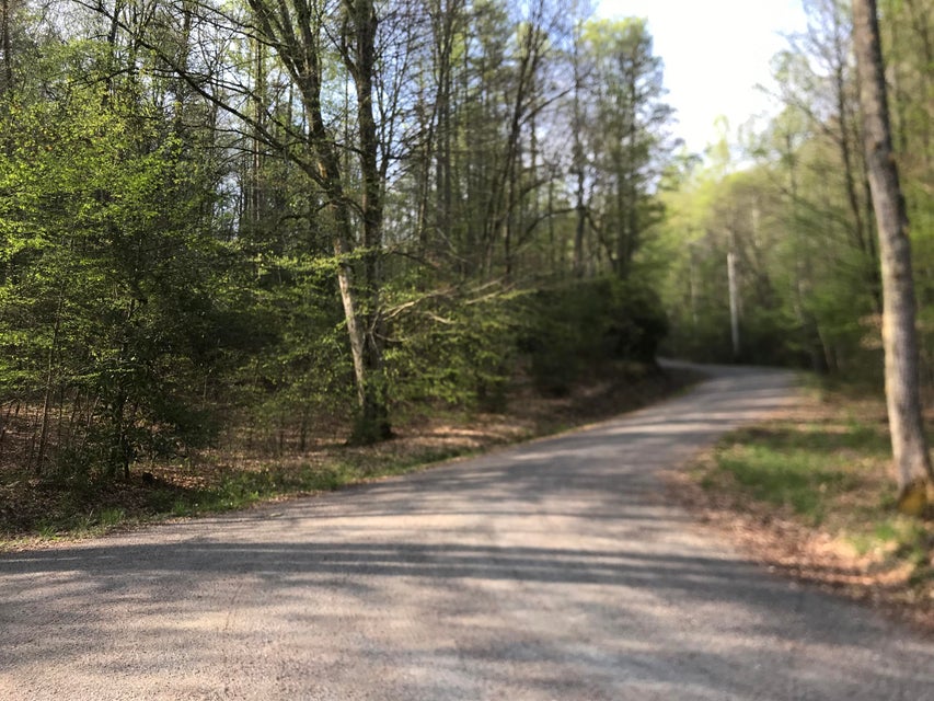 Photo #9: 00 Of Roan Creek Road
