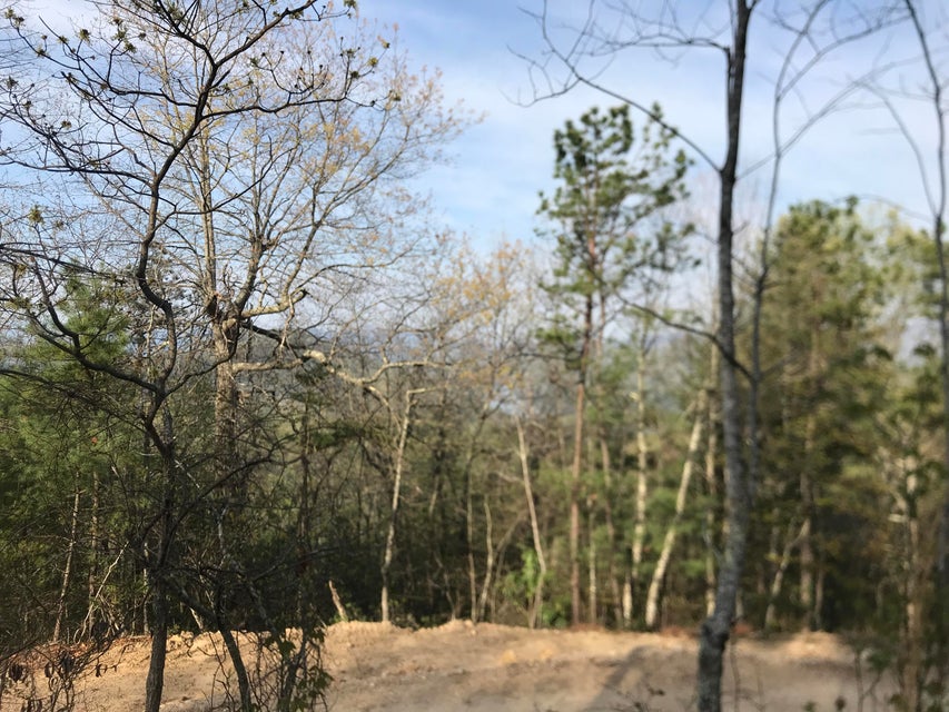 Photo #11: 00 Of Roan Creek Road