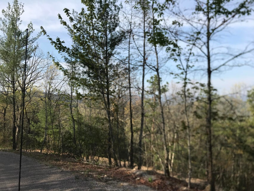 Photo #12: 00 Of Roan Creek Road