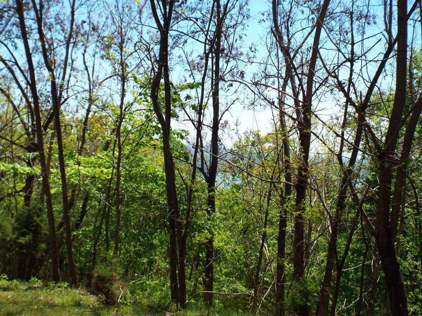 Photo #2: 9097 Paradise View Drive