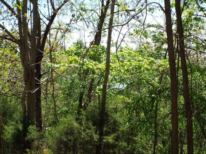 Photo #3: 9097 Paradise View Drive