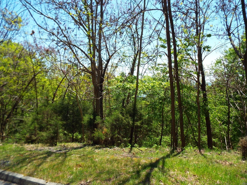 Photo #4: 9097 Paradise View Drive