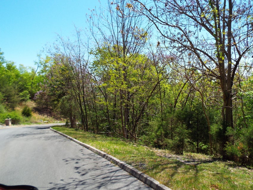 Photo #5: 9097 Paradise View Drive