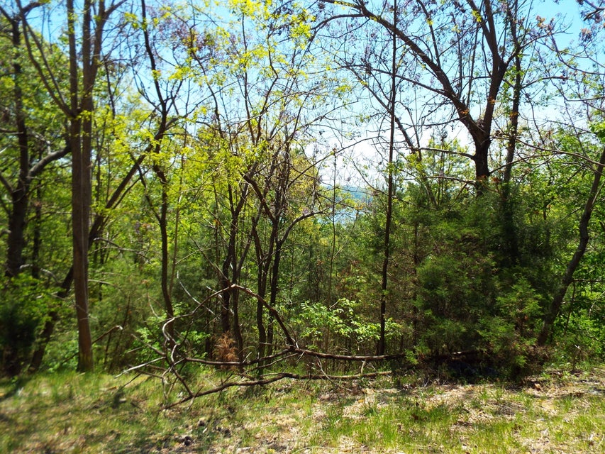 Photo #6: 9097 Paradise View Drive