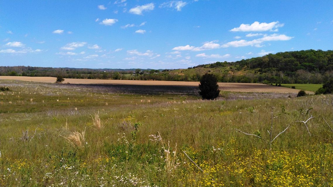 Photo #2: Lots 3,4&7 Smelcer Road