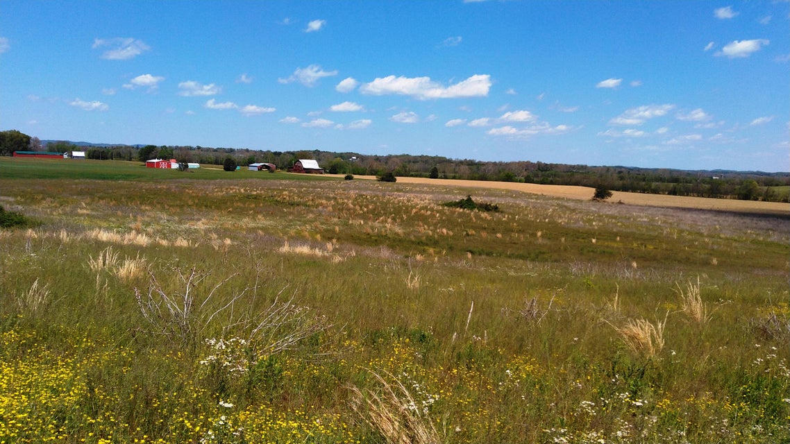 Photo #1: Lots 12/13 Smelcer Road