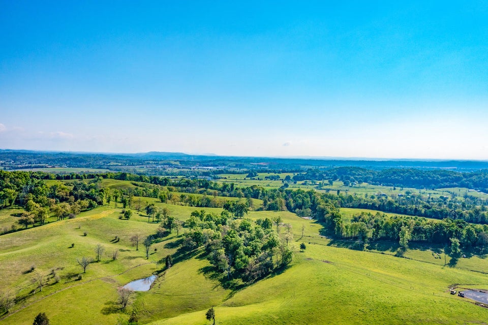 Photo #15: 5525 Spencer Hale Road