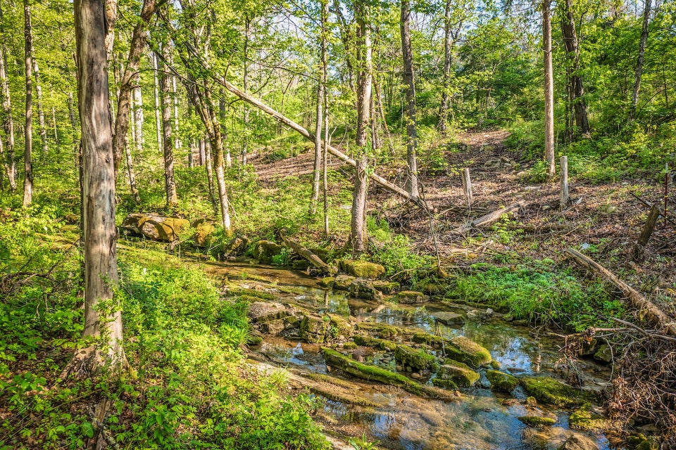 Photo #18: 5525 Spencer Hale Road